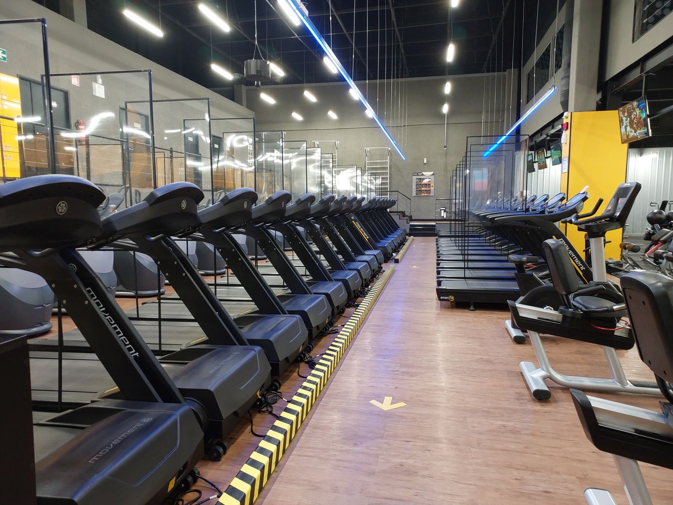 Modern gyminteriör med fri vikter och maskinpark i Stockholm