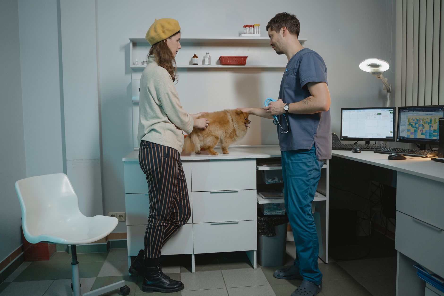 Veterinär undersöker katt på djurklinik i Stockholm