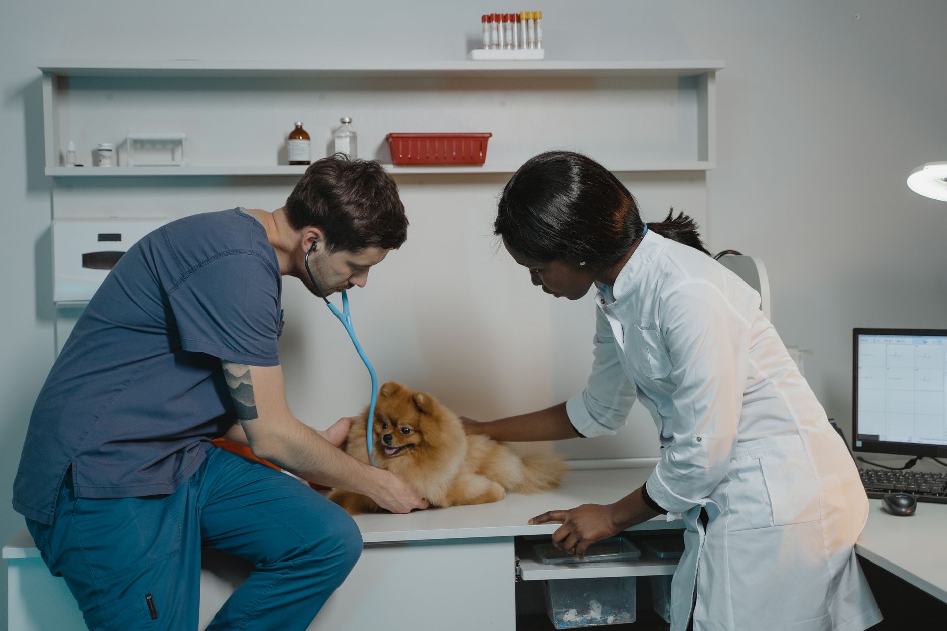 Modern veterinärklinik med avancerad utrustning i Stockholm
